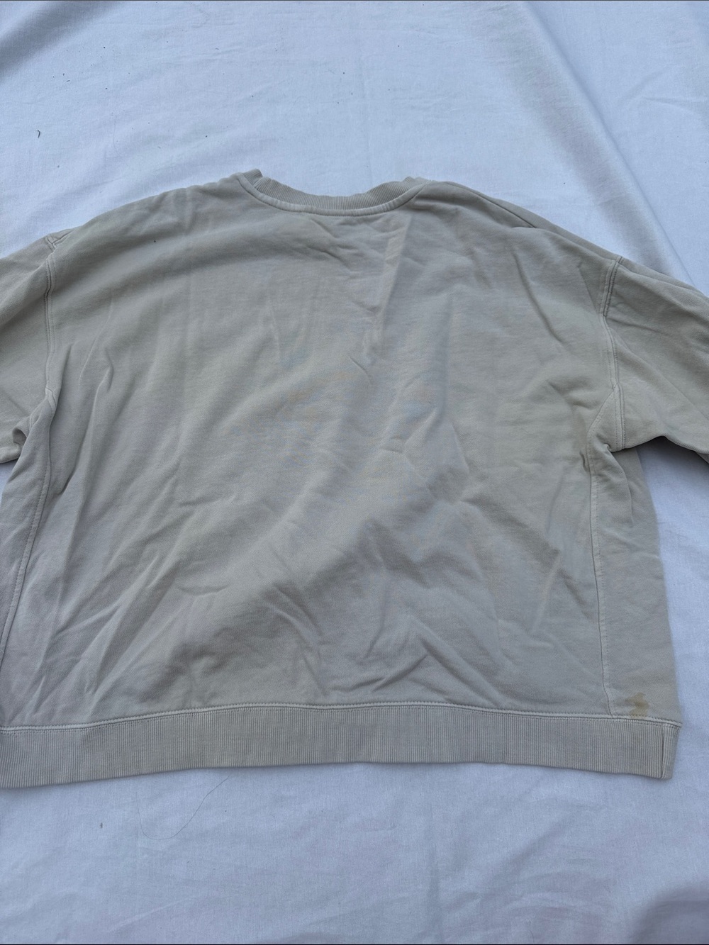 North Carolina Crewneck Sweater in Beige with Red Logo - Picture 6 of 6